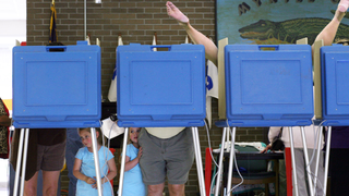 How Does a Woman Vote?